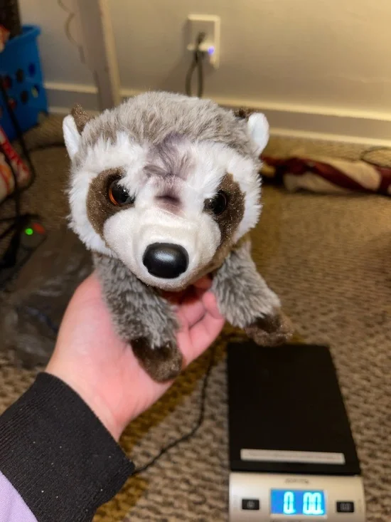 Douglas Raccoon Stuffed Plush - Picture 1 of 3